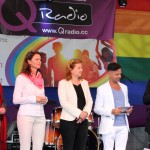 linzpride2015_politiktalk_9003