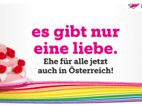 Verfassungsgerichtshof öffnet Ehe für Homosexuelle ab 2019
