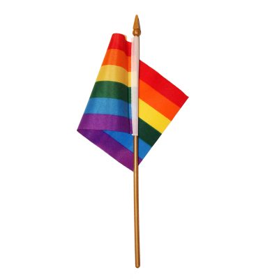 Fahne "Rainbow" mit Stab klein – Bild 3