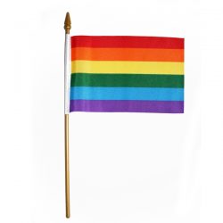 Fahne "Rainbow" mit Stab klein