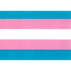 Postkarte "Trans*"