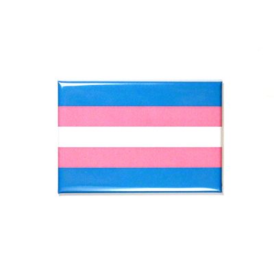 Magnet "Trans*" – Bild 2