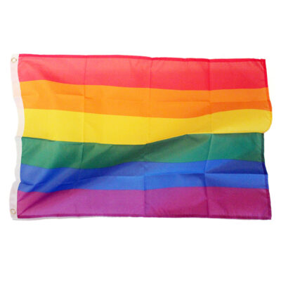 Fahne „Rainbow XL“ – Bild 2