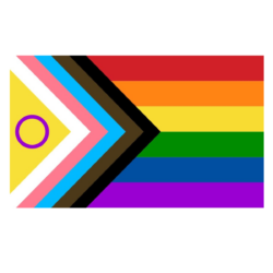 Fahne „Inter* Progress Pride“