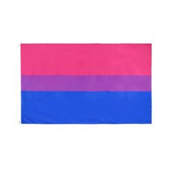 Fahne "Bi"