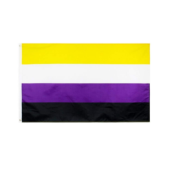 Fahne "Non-binary"
