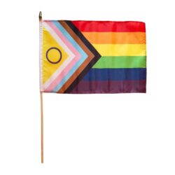 Fahne „Inter* Progress  Pride“ mit Stab