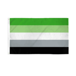 Fahne "Aromantic"