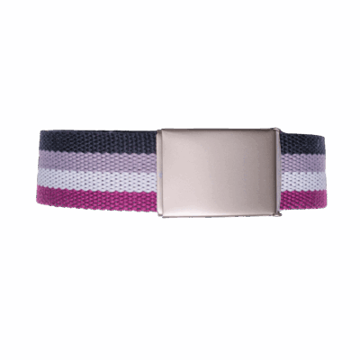 Canvas Gürtel "Asexual"