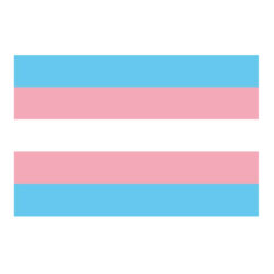 Fahne "Trans*"