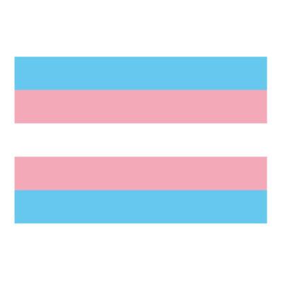 Fahne "Trans*"