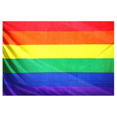 Fahne „Rainbow XL“